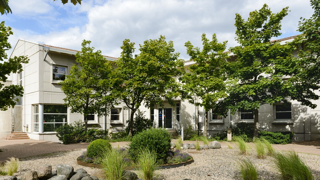 Fastighet med grönskande trädgård