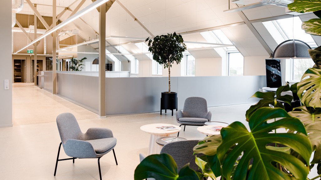Kontor med loungehörna, gröna blommor och stora fönster 
