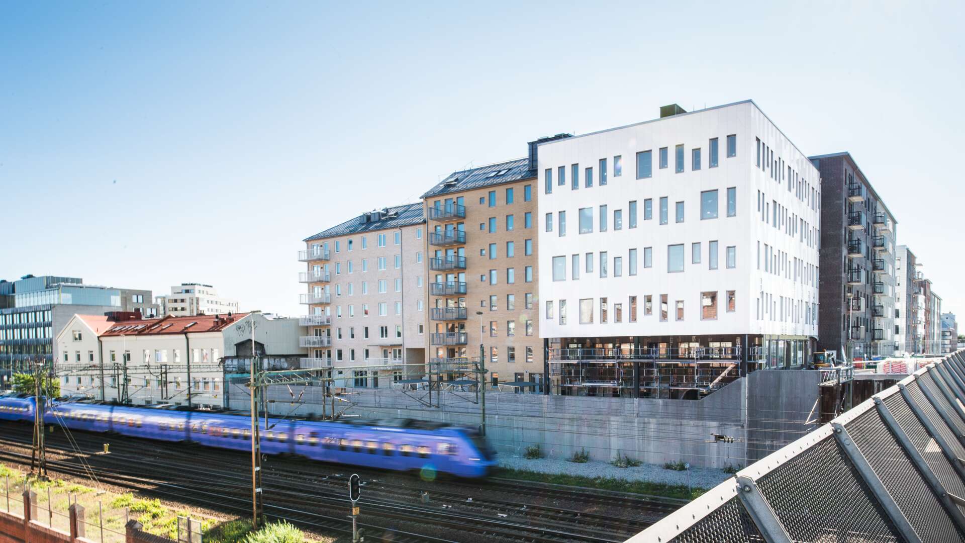 Sockerbiten